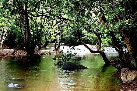 Anizham Jungle Star Hotel Thirunelly Exterior foto